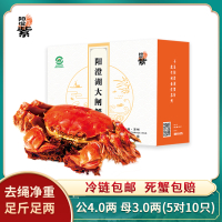 [活蟹]阳澄紫牌阳澄湖大闸蟹2099型 公4.0两 母3.0两 5对/10只 去绳净重 精品活蟹大闸蟹礼盒 水产生鲜