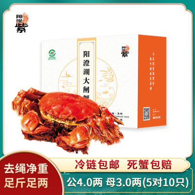 [活蟹]阳澄紫牌阳澄湖大闸蟹2099型 公4.0两 母3.0两 5对/10只 去绳净重 精品活蟹大闸蟹礼盒 水产生鲜