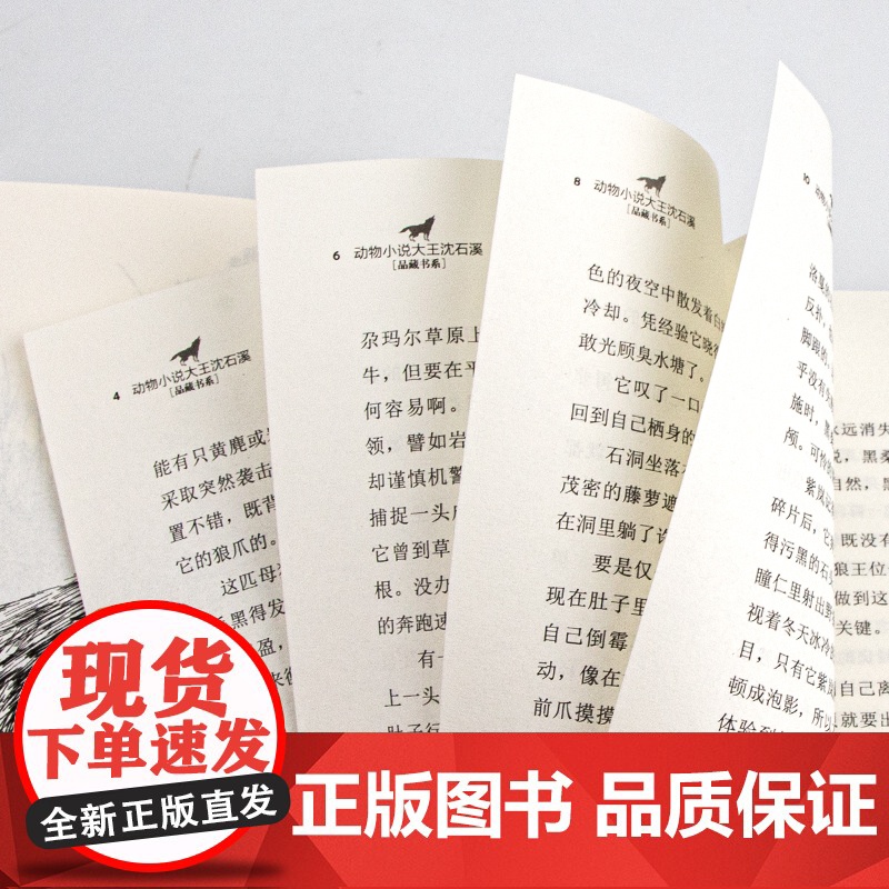 [正版]狼王梦沈石溪动物小说大王品藏书系正版童书三四五六年级小学生课外阅读书籍必读经典书目老师推 经典书 少年儿童出版社高清大图