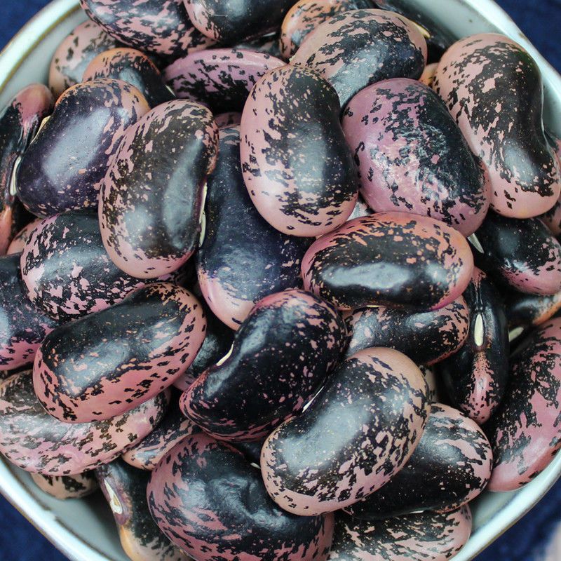 大黑花芸豆1斤大黑花芸豆5斤云南农家雪山黑芸豆牛眼豆大花豆豆类杂粮