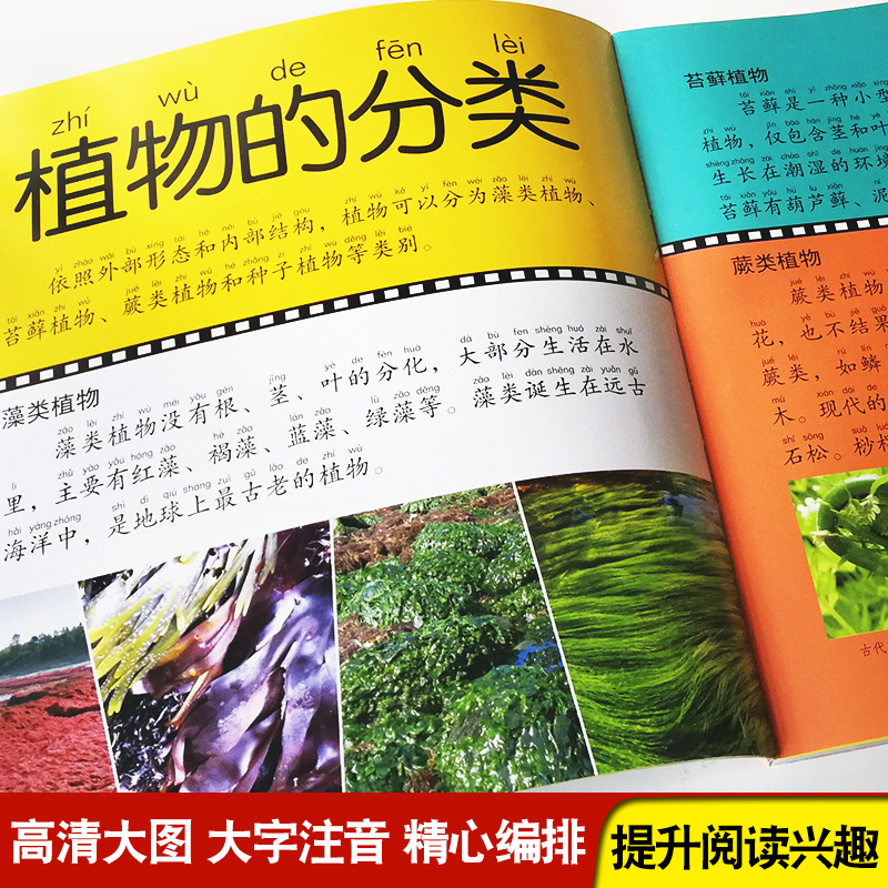[选3件39元]野生动物 [正版]植物大百科全书大全注音版科普绘本儿童小学生小百科读物全套科学启蒙认知幼儿少儿宝宝3-6高清大图