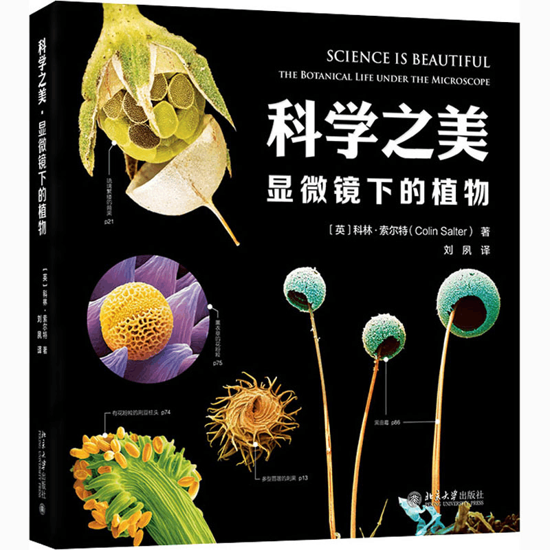 醉染图书科学之美 显微镜下的植物9787301317488图片