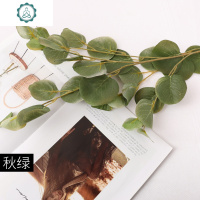 北欧ins圆叶尤加利仿真花叶子假植物家居客厅房间摆件装饰品 封后 黄咖仿真植物