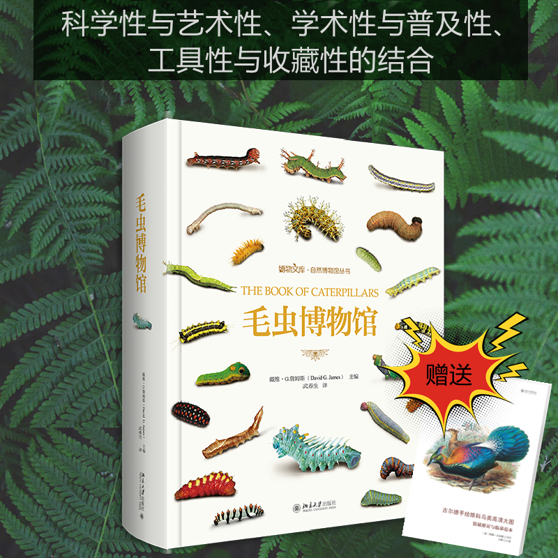 醉染图书毛虫博物馆(赠品盒装版)9787301326404高清大图