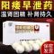 [3盒半疗程装]同仁堂 锁阳固精丸 9克*10丸/盒 补肾壮阳强身非处方药 遗精早泄金锁阳痿肾阳虚肾亏浓缩药温肾固精丸
