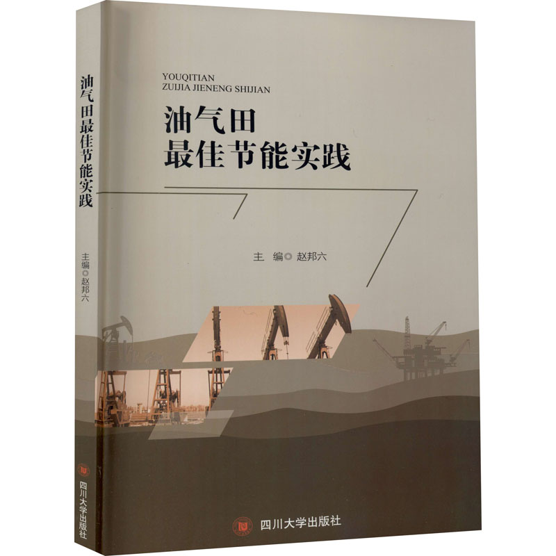 醉染图书油气田节能实践9787569040050