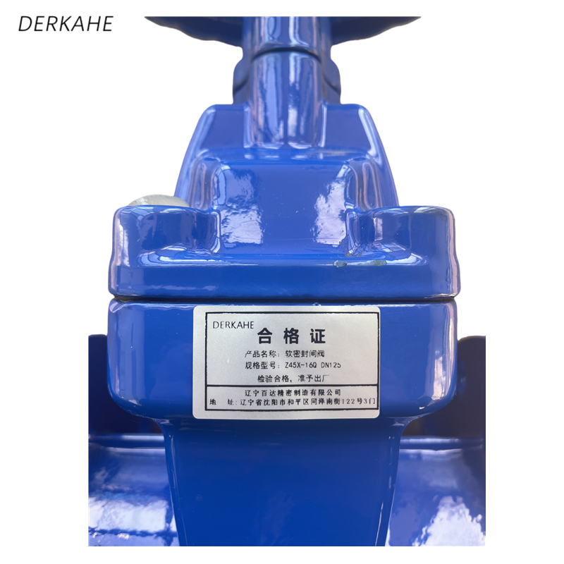 DERKAHE 软密封闸阀 Z45X-16Q DN125 个高清大图