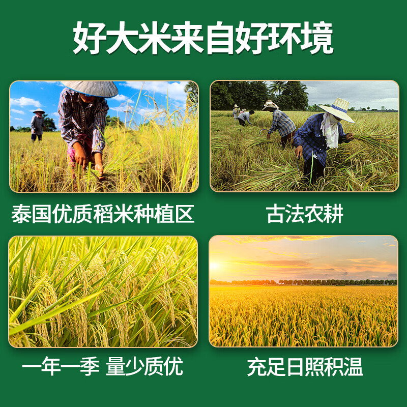 珍粒香泰国茉莉香米5kg[绿标款]高清大图