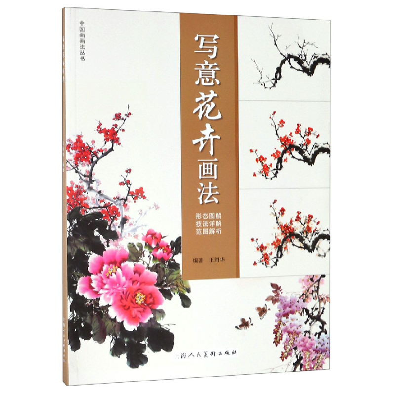 音像写意花卉画法中国画画法丛书王绍华视频