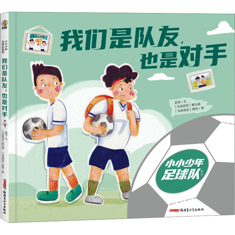 正版新书]我们是队友,也是对手赵匆9787559095824高清大图