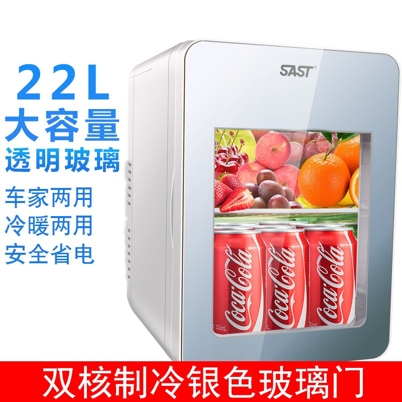 先科(SAST)22L迷你车载冰箱制冷车家两用电子冰箱透明玻璃 学生宿舍便捷式微型小冰箱冷暖箱 22L双核制冷 雪花银