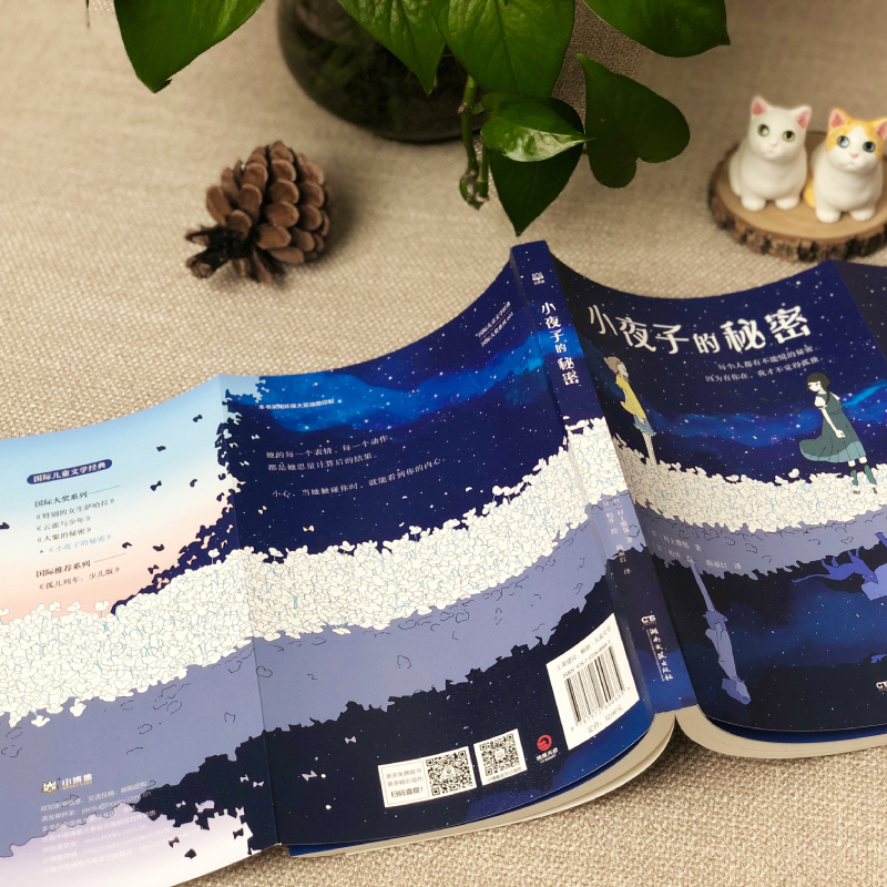 [国际大奖书系]最后的精灵 [正版]小夜子的秘密 村上雅郁著柏井绘 荣获第49届日本儿童文学新人奖 青少年长励志读物 中高清大图