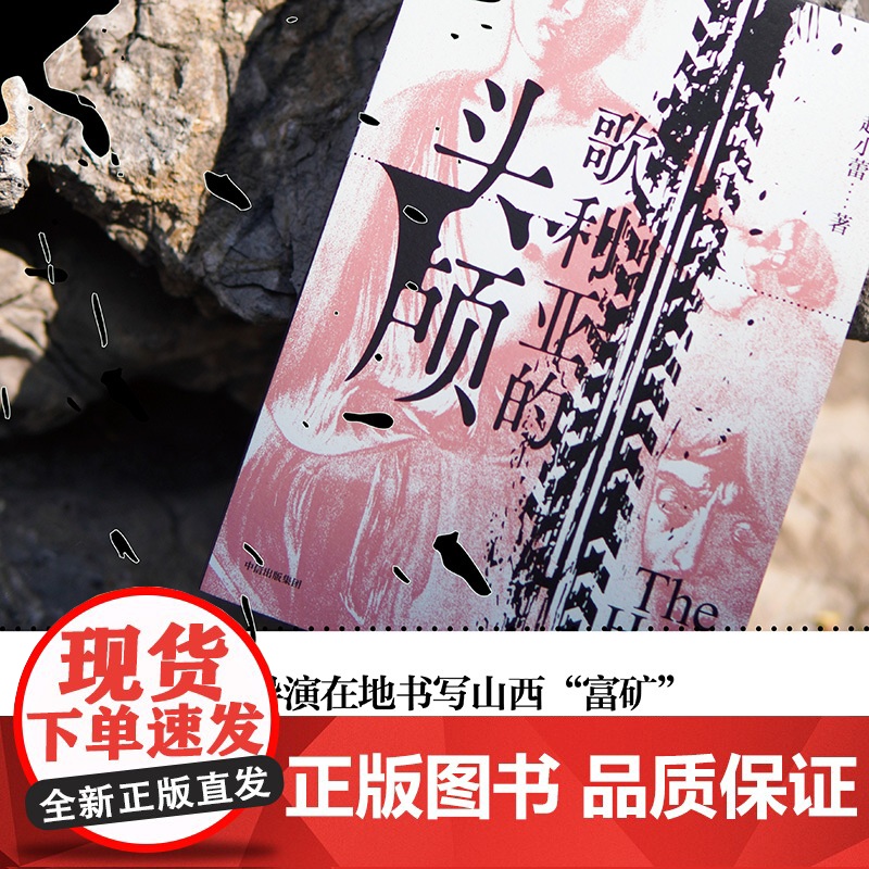 歌利亚的头颅 赵小蕾著 现代的罪与罚故事 长篇小说 父子关系 权力斗争 中信出版社图书 正版高清大图
