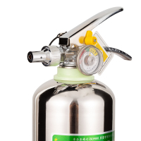 神龙 灭火器 水基型(水雾)不锈钢环保灭火器2升 车载家用及商用灭火器2L MSWZ/2B 消防器材