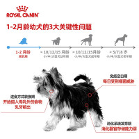 皇家幼年期、妊娠期、哺乳期全价犬粮 奶糕罐头195g×6罐