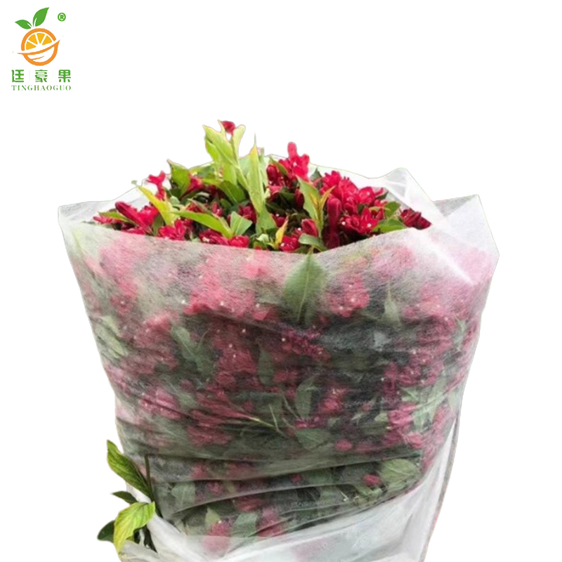 廷豪果 锦带球 冠幅80cm /棵高清大图