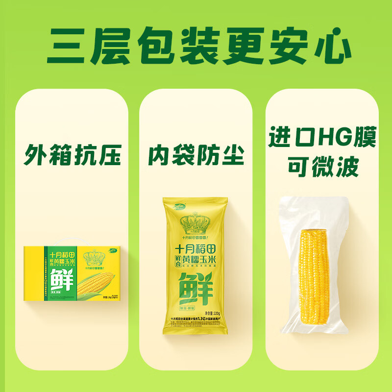 十月稻田鲜食黄糯玉米4.4斤(220g*10根) 整箱东北甜糯新鲜嫩玉米棒 低脂礼盒 早餐杂粮