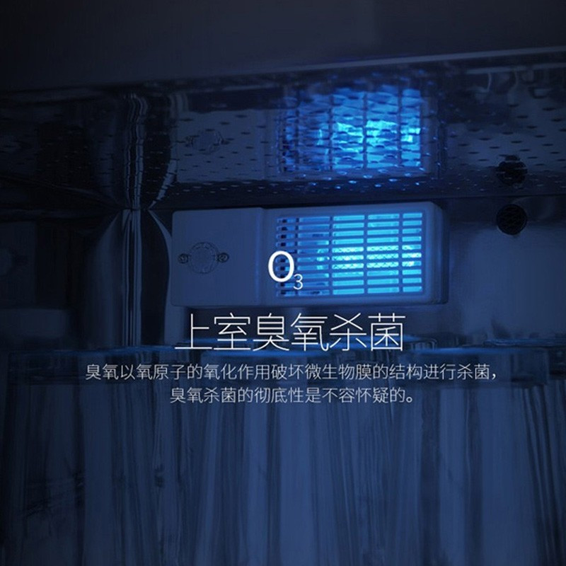 志高(CHIGO)二星级消毒柜家用柜式餐具厨房碗筷立式高温臭氧小型消毒碗柜商用台式大型双开门消毒柜 蒲公英 5-8人