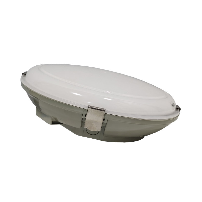 LHDQ 领航电器 LED三防吸顶灯 LHF2920C 24W 220V 冷光6000K IP65