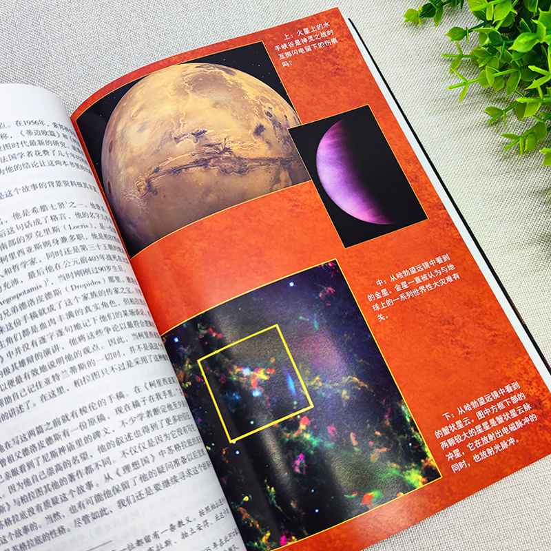 [正版]被禁止的知识全套系列全4册 被禁止的知识+被禁止的科学+被禁止的历史+被禁止的考古学 国外文学书被禁止的知识全