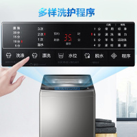 海尔（Haier）洗衣机波轮全自动 10公斤免清洗幂动力大容量超净洗 节能静音幂级劲洗羊毛洗