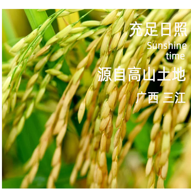 广西三江特产高山鱼稻绿色大米5kg/袋
