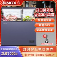 星星(XINGX)210升双温卧式冷柜商用冰柜超市便利店雪糕家用省电左冷冻右冷藏BCD-210KVCT