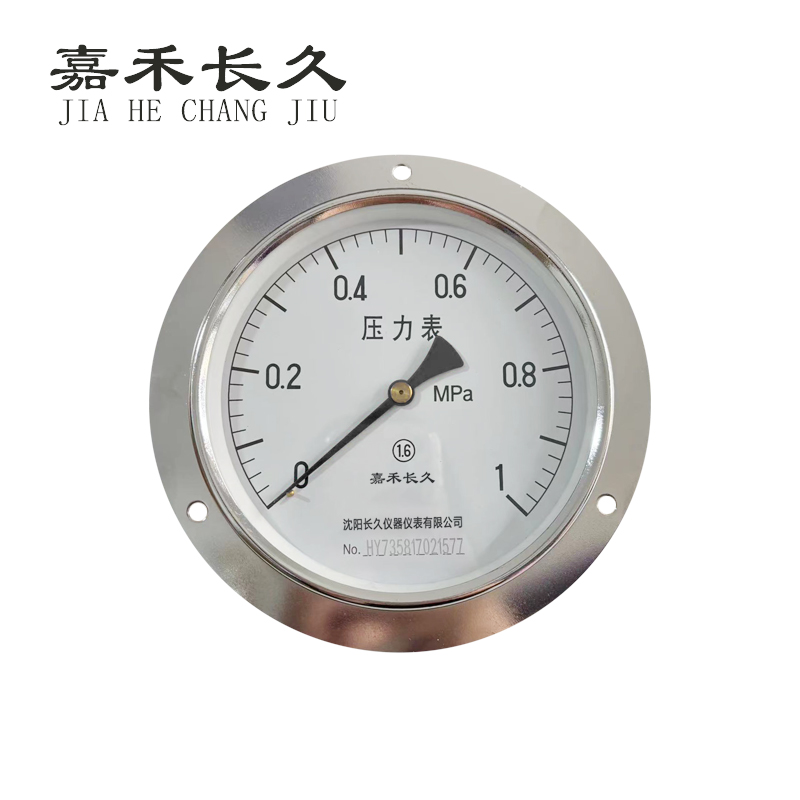 嘉禾长久+轴向带边压力表检测定制型+Y150ZT+块 0-1.0MPA