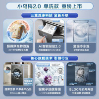小天鹅(LittleSwan)滚筒洗衣机全自动10KG小乌梅2.0 超微净泡水魔方超薄全嵌 TG100S83PRO