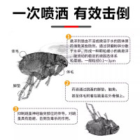 灭杀跳蚤药床上家用非无毒神器养殖场大面积杀虫剂去除虱子喷雾剂