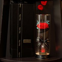 Para Ella 010系列彩灯许愿瓶红色玫瑰花永生花礼盒鲜花速递女神节创意礼物情人节礼物生日结婚纪念日礼物送女生女友