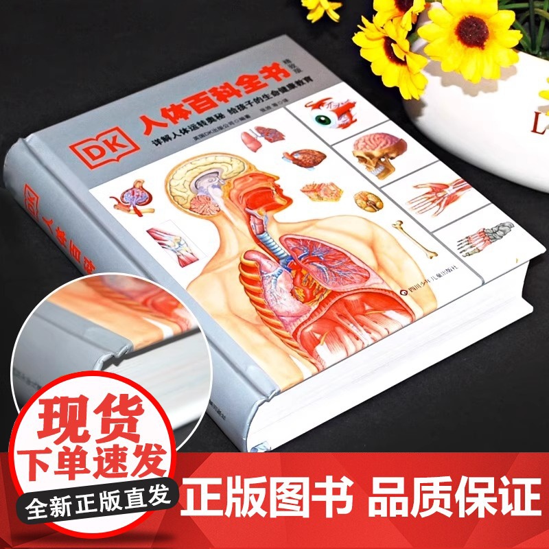 精装升级版DK人体百科全书海量图片揭秘我们的身体骨骼结构图解以文字为孩子探索认识人体科普打开兴趣四五年级课外书读绘本高清大图