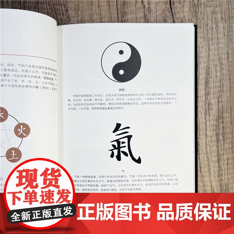 神秘主义符号图鉴+神秘主义艺术图鉴 全两册 华龄出版社精装高清大图