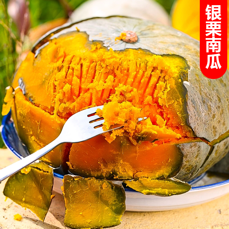 【西沛生鲜 】陕西银栗南瓜 净重4斤装 精品板栗南瓜 新鲜蔬菜 宝宝辅食 西沛