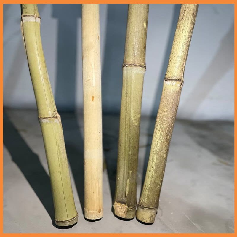 苏宁宜品 SNYP-ZSB-003竹扫把户外庭院大竹扫 竹柄4斤款图片