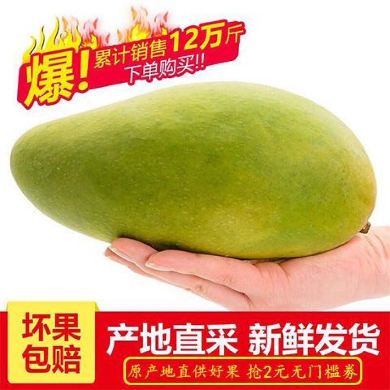 水仙青芒 报价行情 排行 品牌 参数 怎么样 图片 商家 苏宁易购