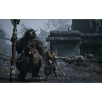 索尼(SONY) PlayStation PS5游戏光盘 黑神话悟空 豪华版 中文 港版