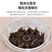 新功F103电热水壶喷淋式蒸汽煮茶煮水壶双炉玻璃全自动智能恒温电水壶