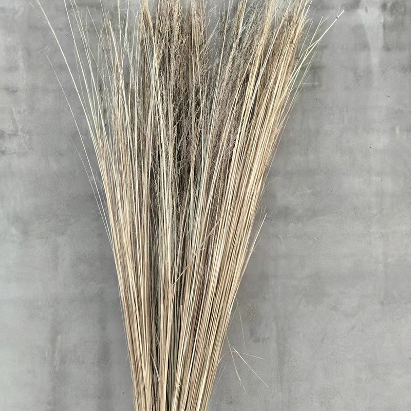 芨芨草扫帚