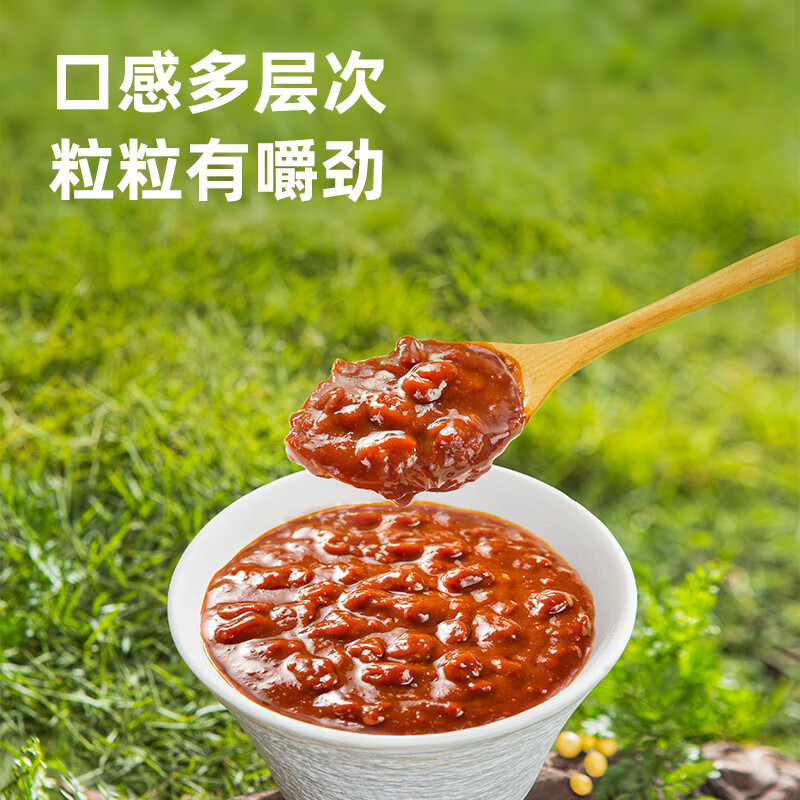 海天 调味酱 0添加黄豆酱800g×2瓶 下饭拌面手抓饼酱料家用商用烹饪炒菜 KJDF-20230310-102高清大图