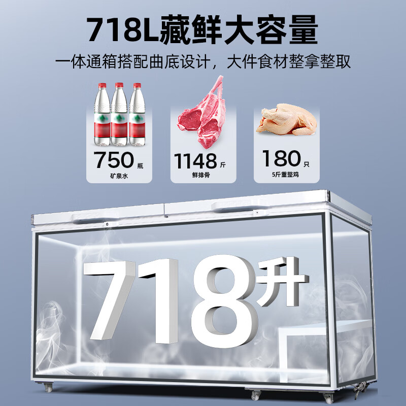星星(Xingx) 718升 冰柜冷柜 商用卧式大容量 冷藏冷冻转换单温冰柜 一级能耗(白色)BD/BC-728GE高清大图