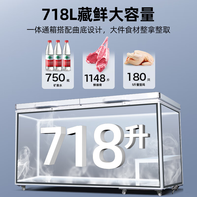 星星(Xingx) 718升 冰柜冷柜 商用卧式大容量 冷藏冷冻转换单温冰柜 一级能耗(白色)BD/BC-728GE