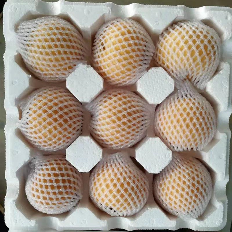 王记膳燕 山东秋月梨 精品梨 雪梨蜜梨 泡沫箱通货5斤装(6-9粒)新鲜水果 滋补润肺 富含营养蛋白质铁钙 单盒价