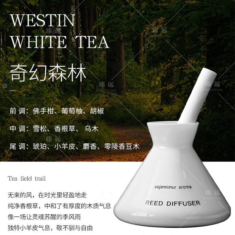 臻远 ZY-ZGTT-18 香薰 奇幻森林 250ml高清大图