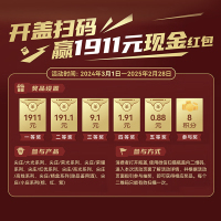 五粮液 尖庄大光系列 50度588ml*6 浓香型白酒 整箱