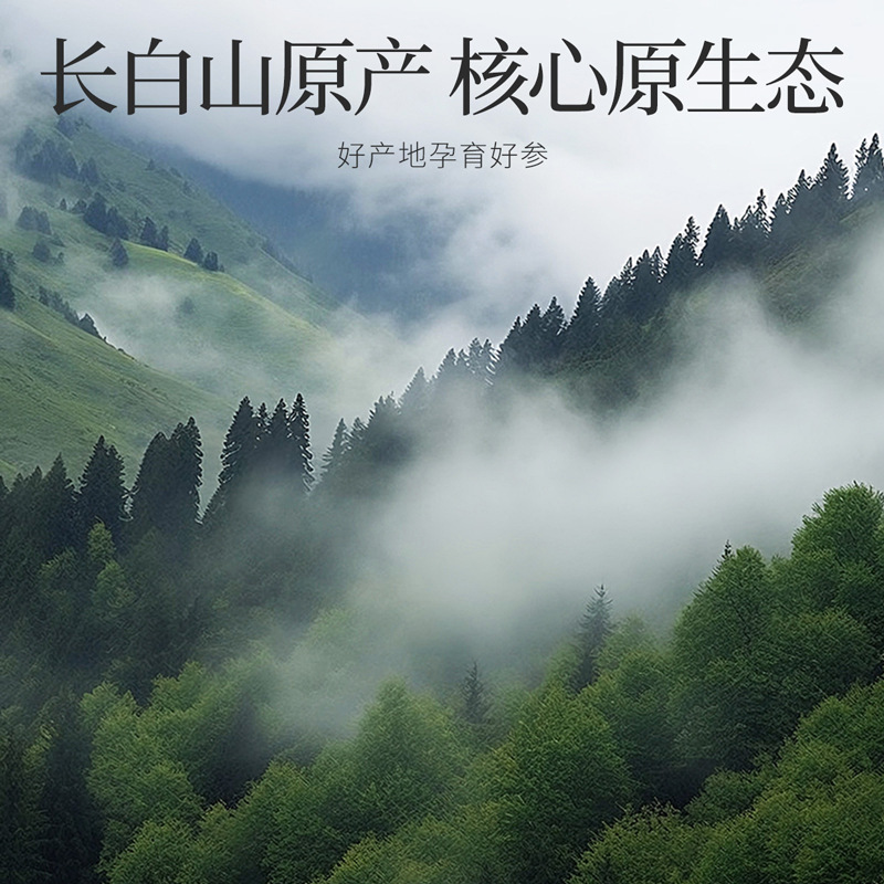 108g12罐礼盒1.0-1.2cm西洋参 长白山西洋参片花旗参大片软支西洋参切片官方旗舰店高清大图