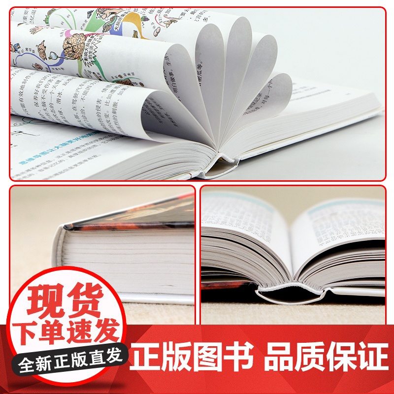 世界通史 全球历史书籍 青少年版经典历史读物 中学生辅助教科书读本 7-9-10-12岁青少年儿童图书高清大图