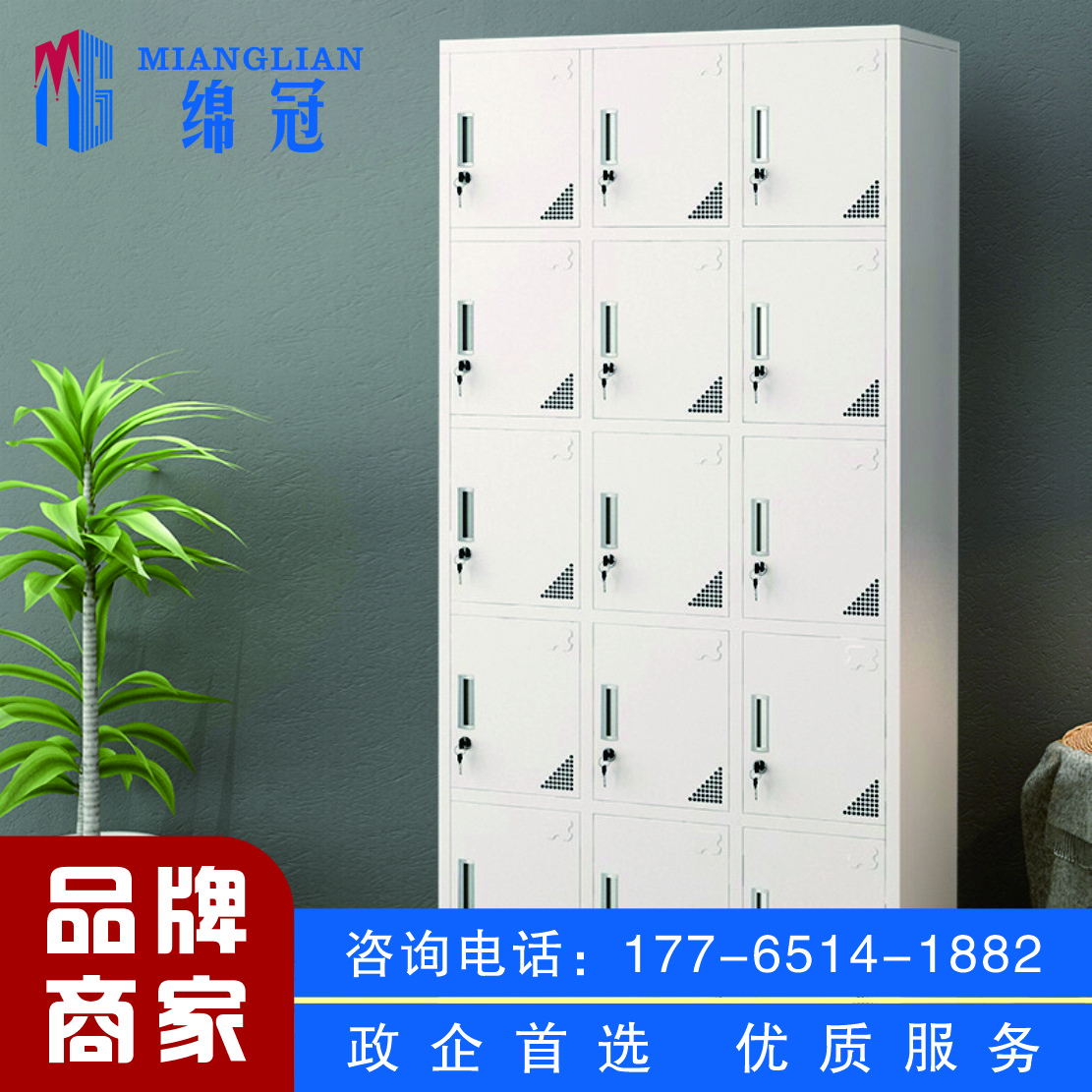 绵冠更衣柜员工柜带门锁铁皮柜储物柜职员柜浴室柜 十二门更衣柜