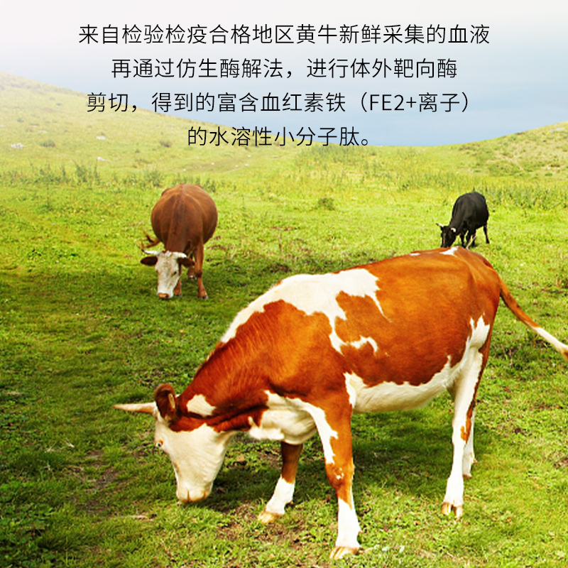 馨状态 血蛋白肽压片糖果