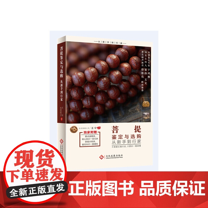 菩提鉴定与选购从新手到行家